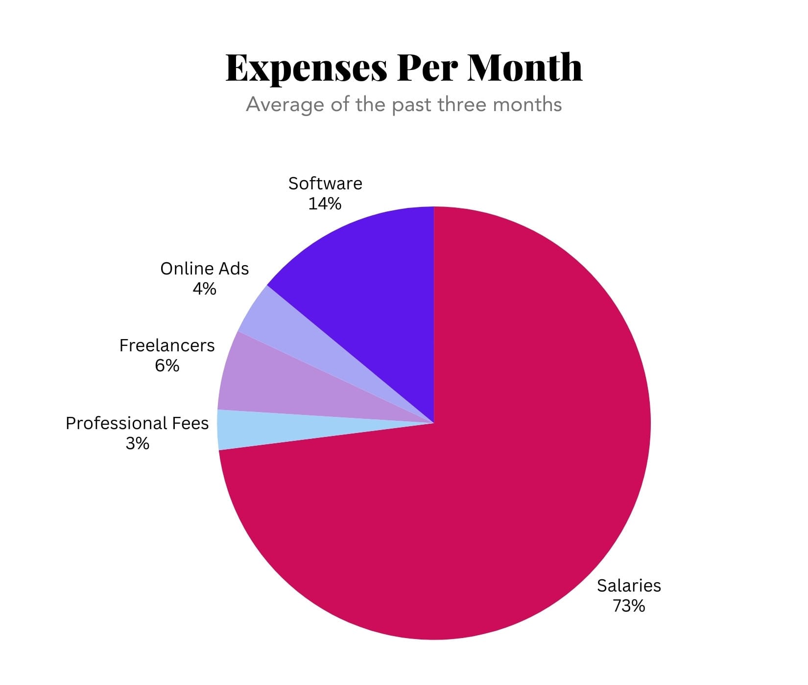 Salaries: 73% | Software: 14% | Freelancers: 6% | Online Ads: 4% | Professional Fees: 3%